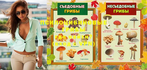 твердый Алексин