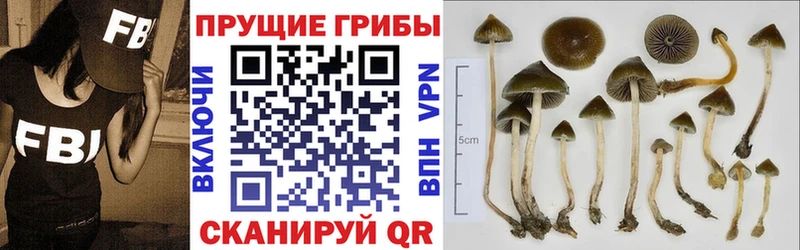 Галлюциногенные грибы MAGIC MUSHROOMS  дарнет шоп  Туринск 